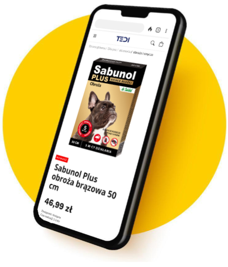 Jak założyć internetowy sklep zoologiczny